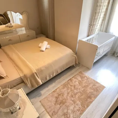 My White House 트라존